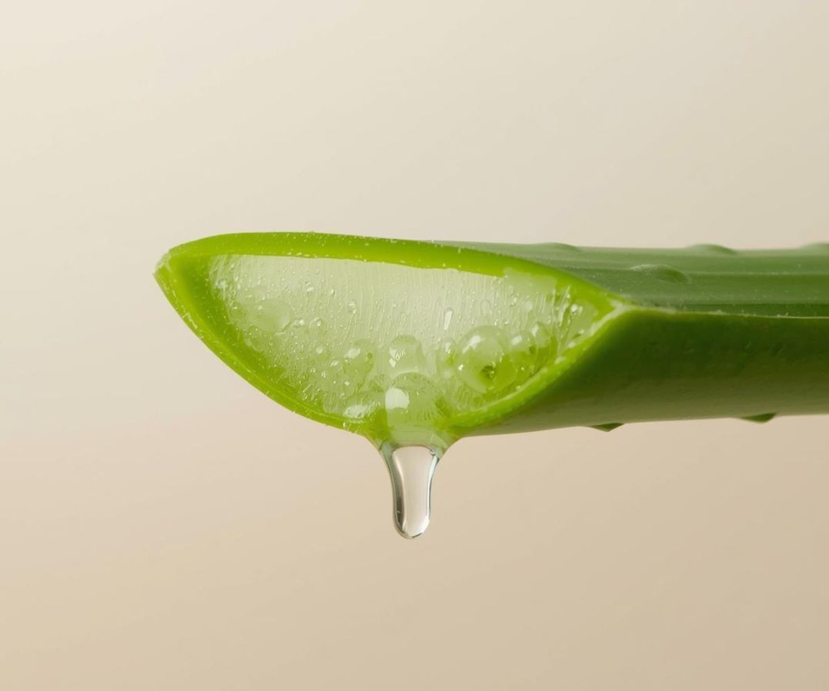 Aloe Vera in Skincare: Nature’s Moisture Source