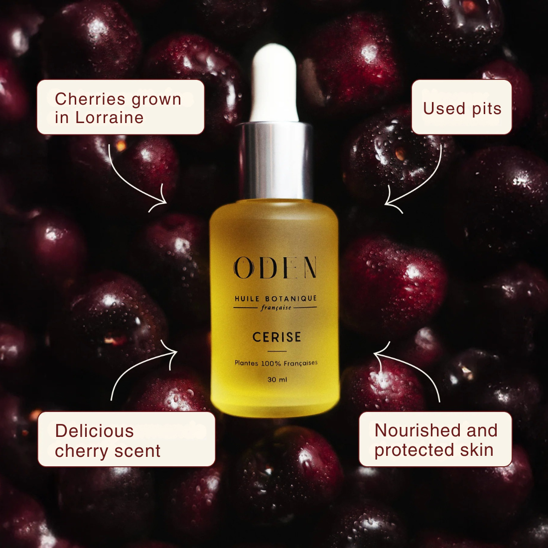 French Cherry oil - nourishing & protective