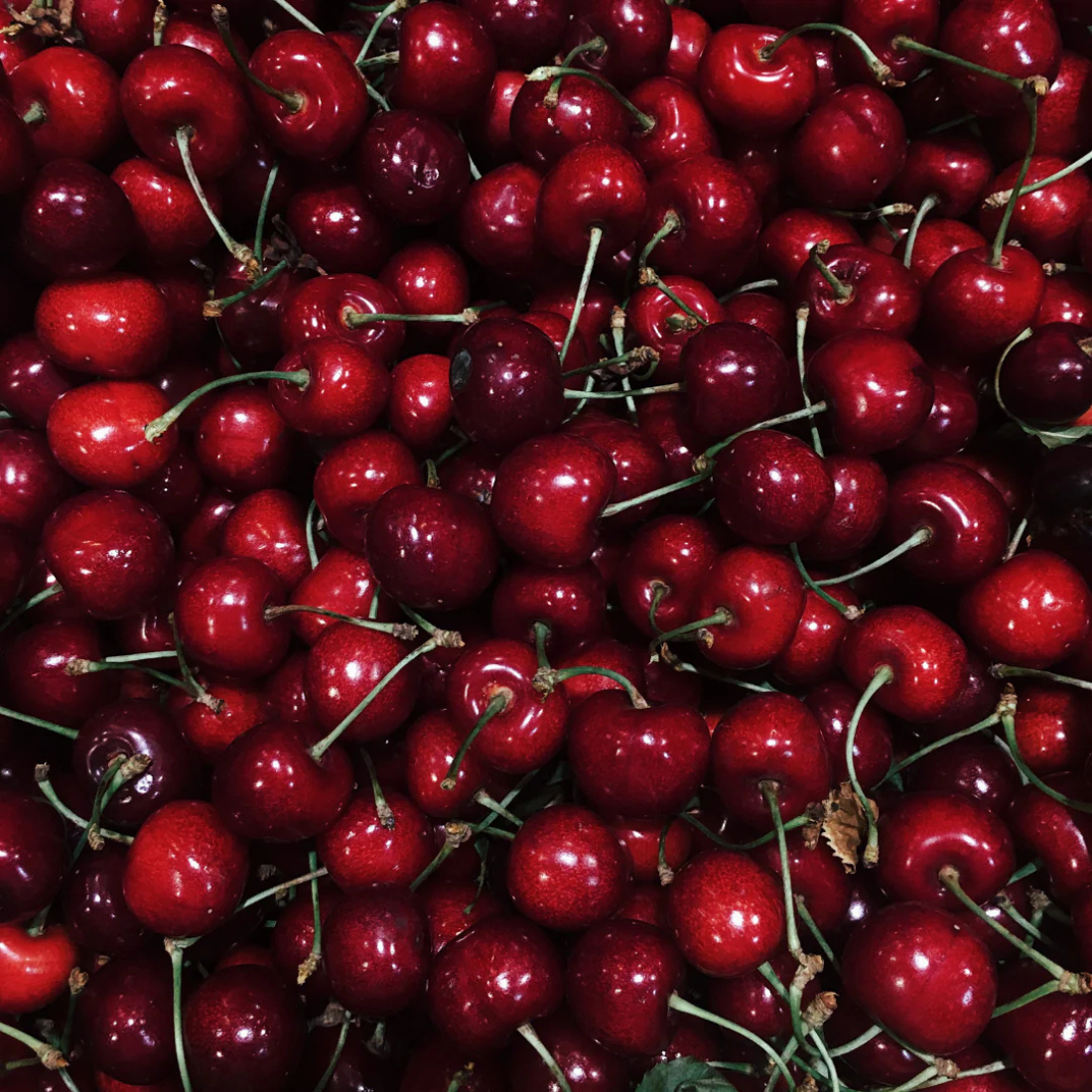 French Cherry oil - nourishing & protective