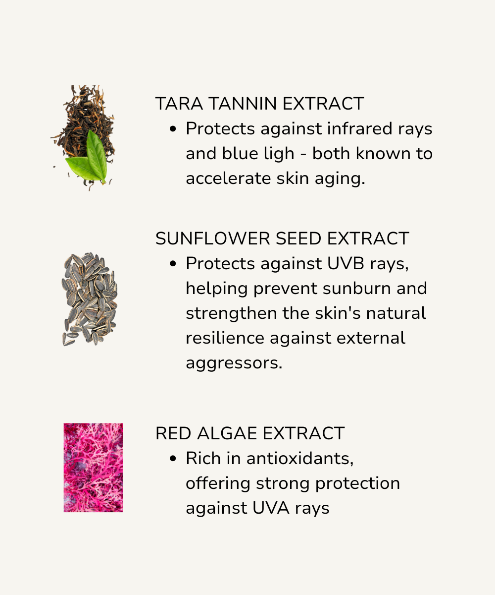 Extraction types with their benefits on a white background