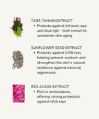 Extraction types with their benefits on a white background